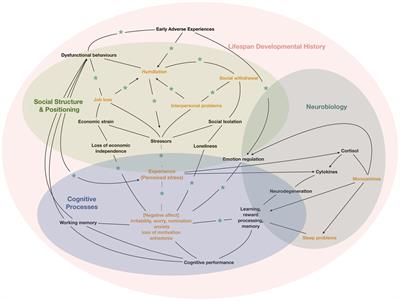 A cultural-ecosocial systems view for psychiatry